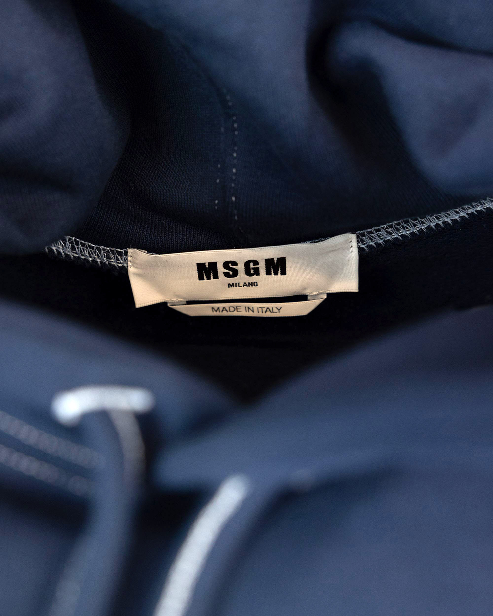 Shop Msgm Logo Sweatshirt With Hood In 89