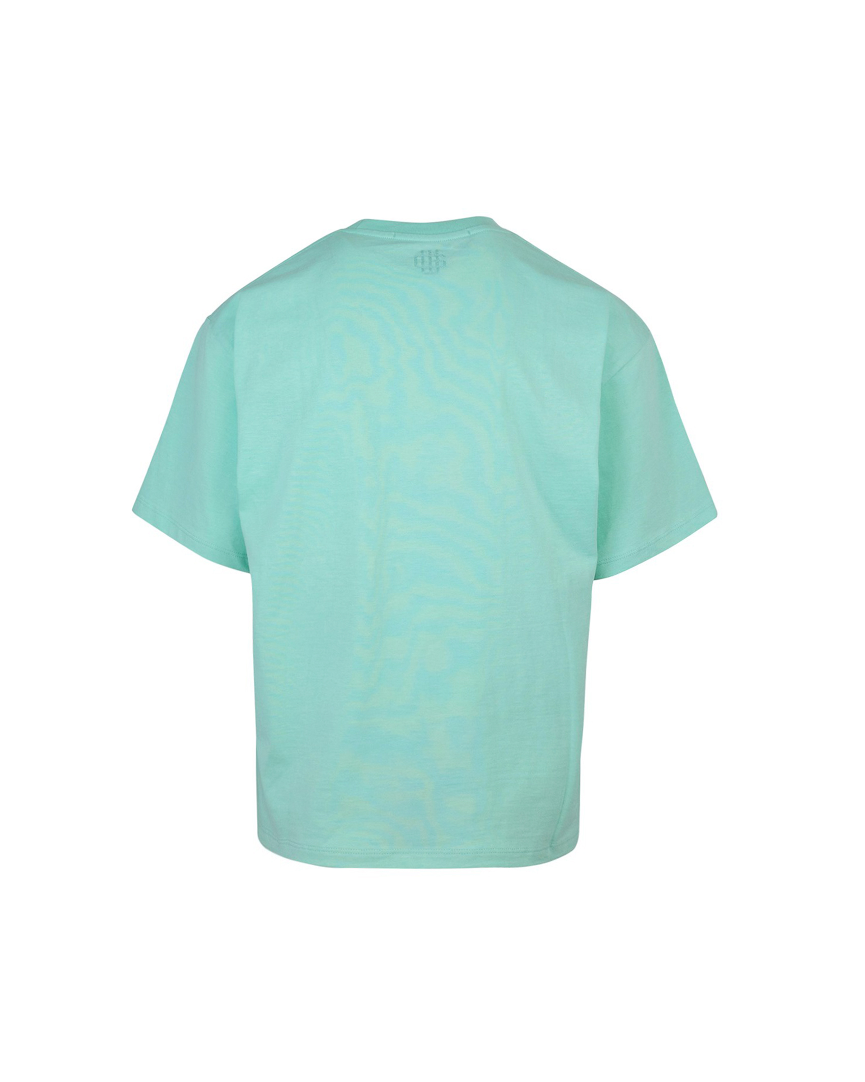 Shop Garment Workshop Basic T-shirt With Aqua Green Embroidery In Gw029viridian Green