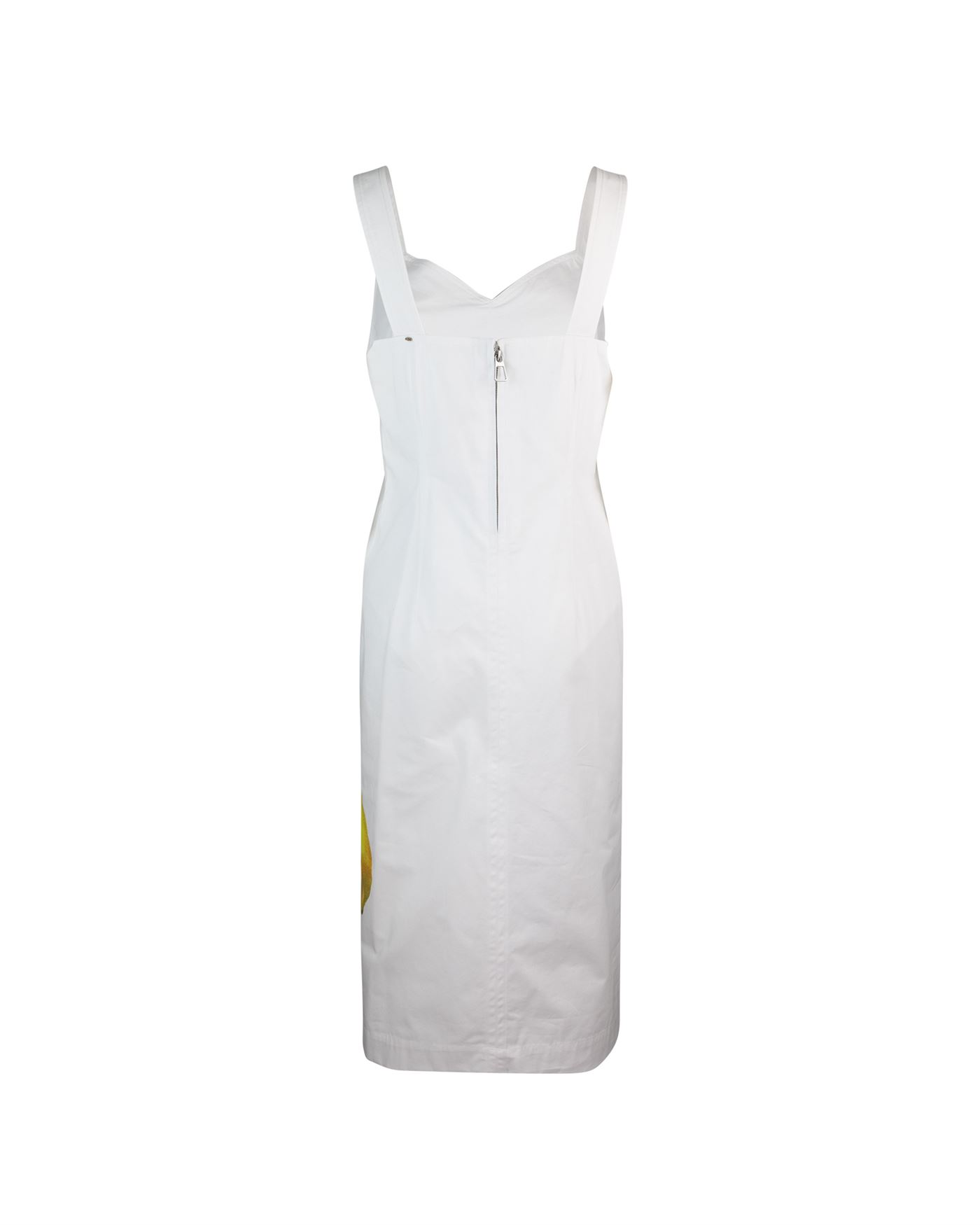 Shop Sportmax White Sesia Dress In 001